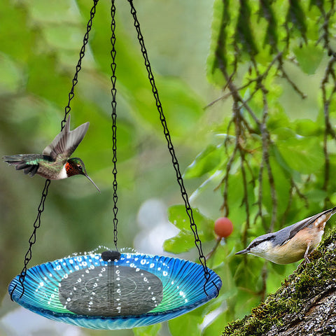Outdoor Garden Fountain Hanging Bird Feeder